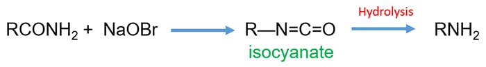 Hofmann Rearrangement Mechanism